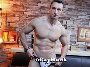0GayHunk