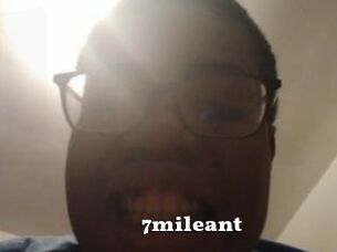 7mileant