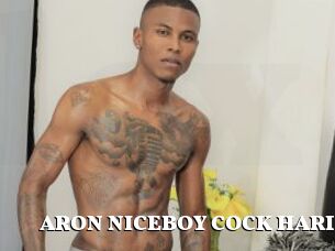 ARON_NICEBOY_COCK_HARD