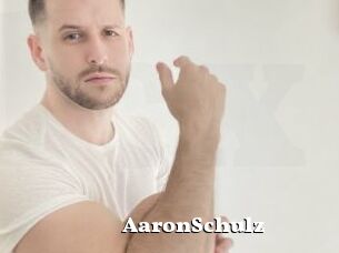AaronSchulz