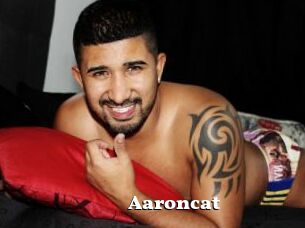 Aaroncat