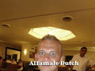 Alfamale_Dutch