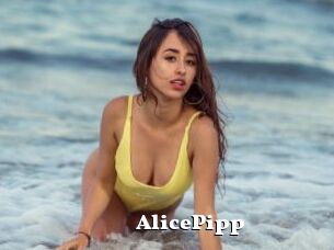 AlicePipp
