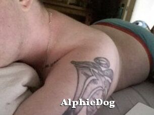 Alphie_Dog