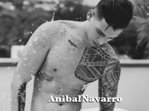 AnibalNavarro
