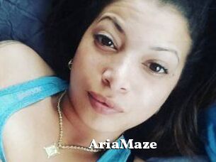 Aria_Maze