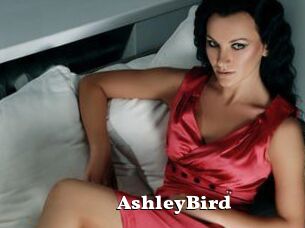 AshleyBird