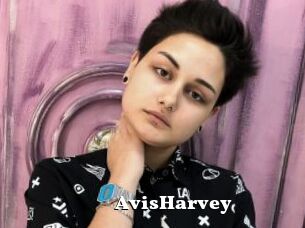 AvisHarvey