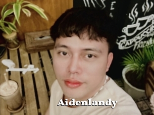 Aidenlandy