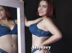 Alicerey