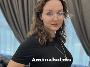 Aminaholms