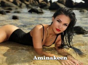 Aminakeen