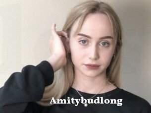 Amitybudlong
