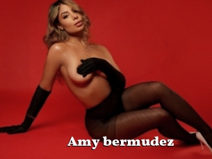 Amy_bermudez