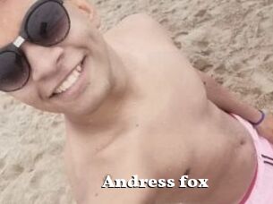 Andress_fox