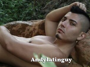 Andylatinguy