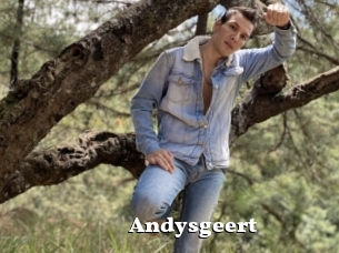 Andysgeert