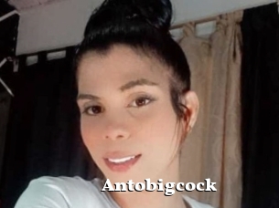 Antobigcock