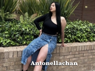 Antonellachan