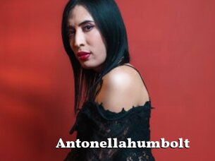 Antonellahumbolt