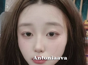 Antoniaava