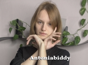 Antoniabiddy