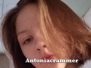 Antoniacrammer