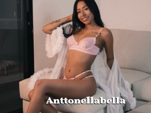 Anttonellabella
