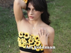 Ari_goldman