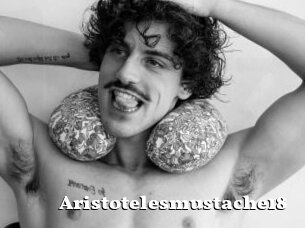 Aristotelesmustache18