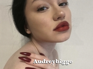 Audreybigge