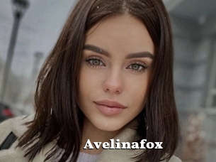 Avelinafox