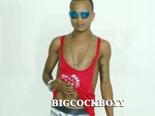 BIGCOCKBOYY