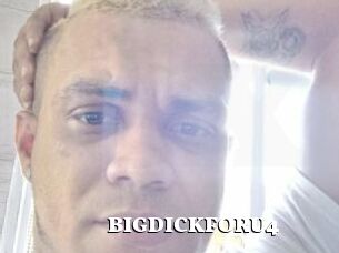BIGDICKFORU4