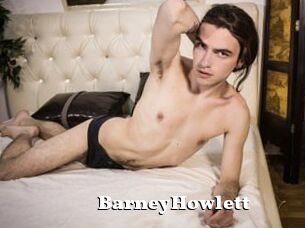 BarneyHowlett