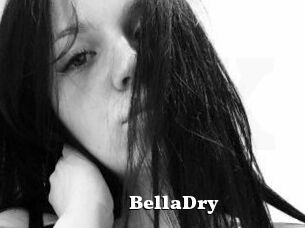 BellaDry