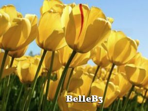 BelleB3