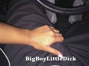 BigBoyLittleDick