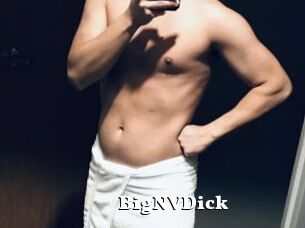 BigNVDick