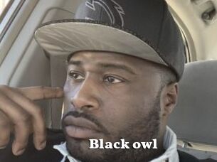 Black_owl