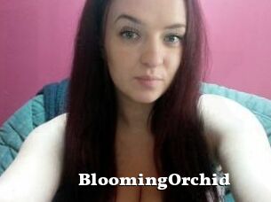 BloomingOrchid