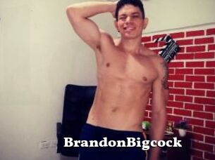BrandonBigcock