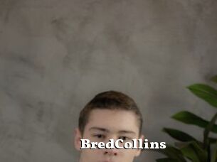 BredCollins