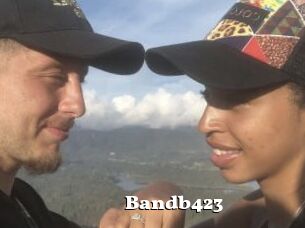 Bandb423