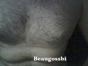 Beaugossbi