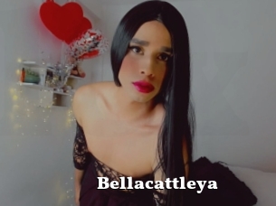Bellacattleya