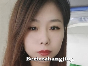 Bericezhangjing