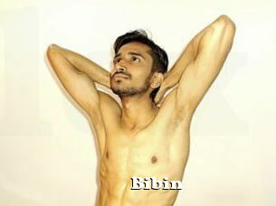 Bibin