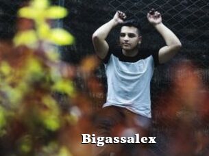 Bigassalex