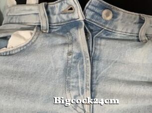 Bigcock24cm